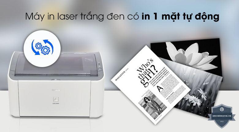 may-in-laser-canon-lbp2900-10