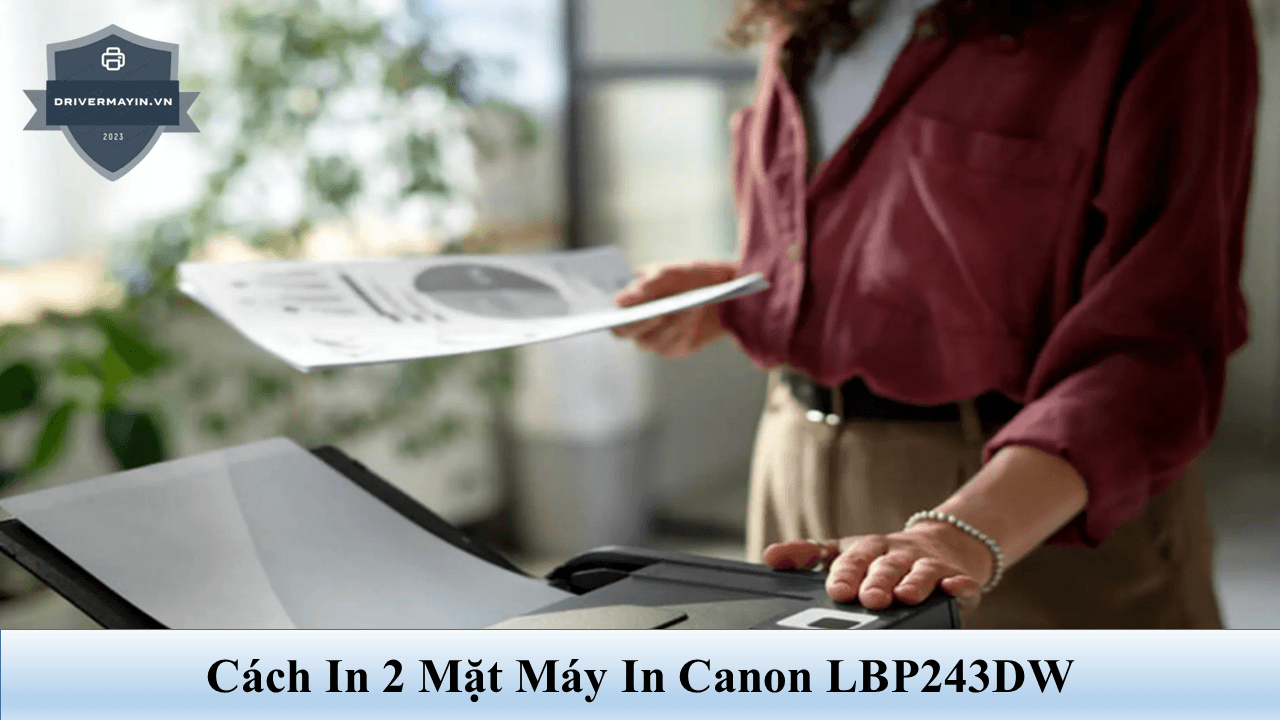 Cách In 2 Mặt Máy In Canon LBP243dw Cho Người Mới