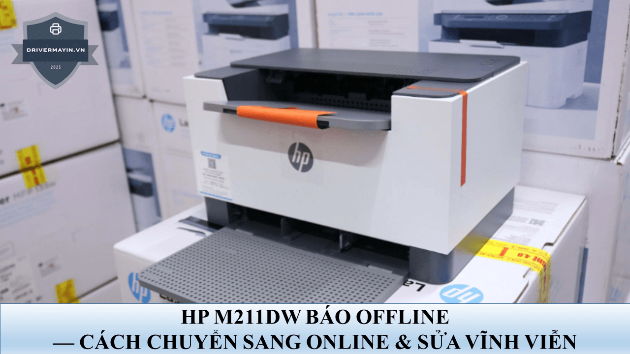 HP M211DW Báo Offline — Cách Chuyển Sang Online & Sửa Vĩnh Viễn