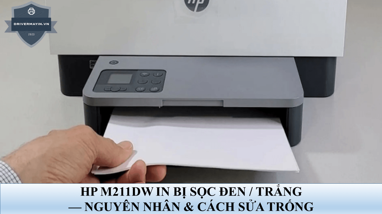 Lỗi Máy In Hp M211dw Bị Kẹt Giấy: Nguyên Nhân Và...