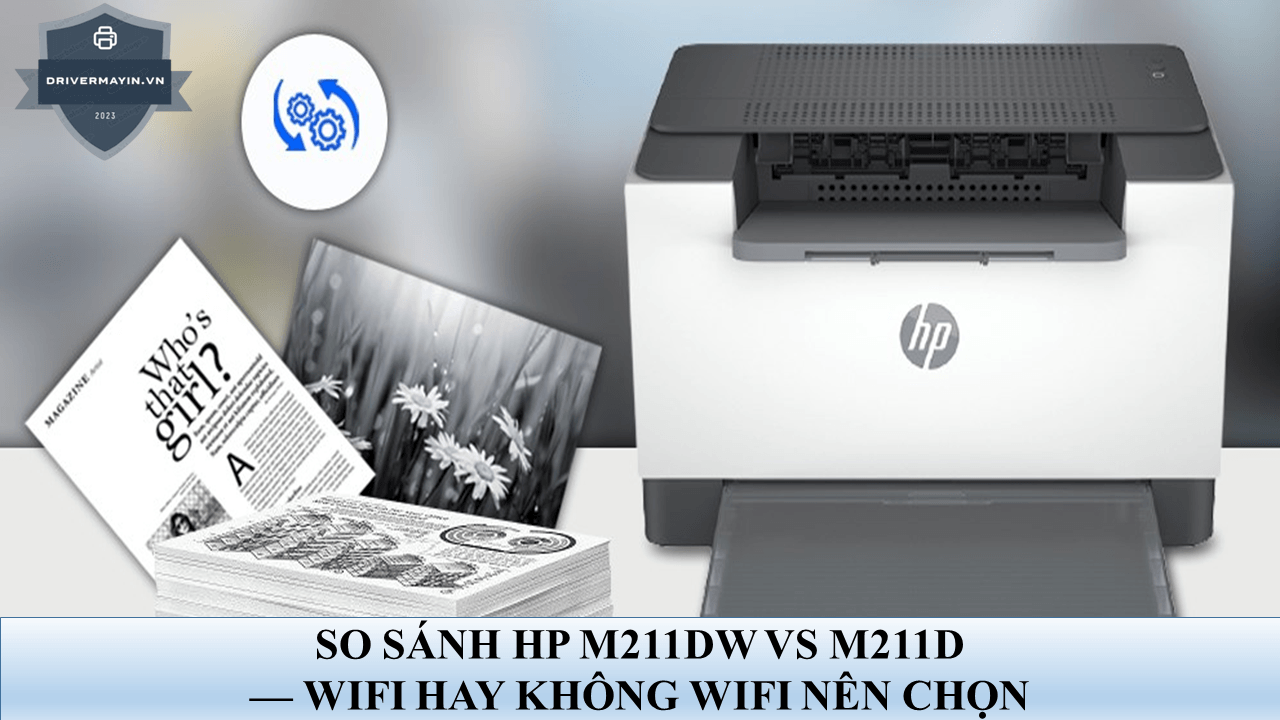 So Sánh HP M211D vs M211DW: Có Wi-Fi Hay Không, Chọn Máy Nào